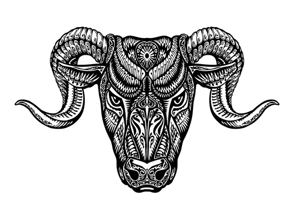 Hand drawn head ram. Ethnic patterns. Bull or animal icon. Vector illustration — Stock Vector