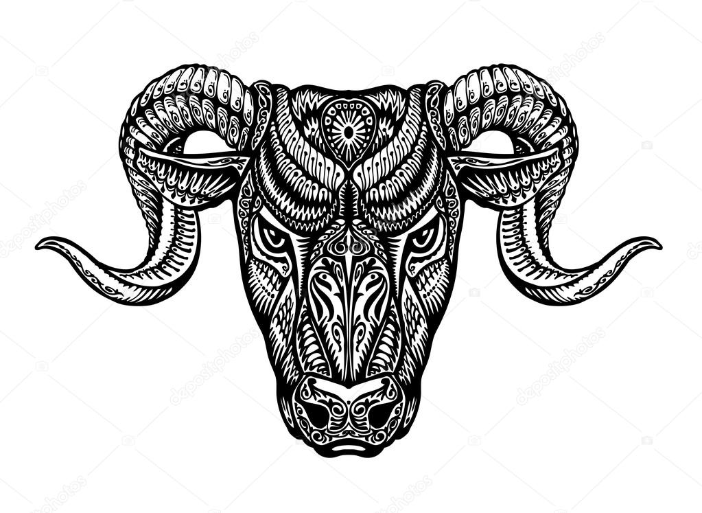 Hand drawn head ram. Ethnic patterns. Bull or animal icon. Vector illustration