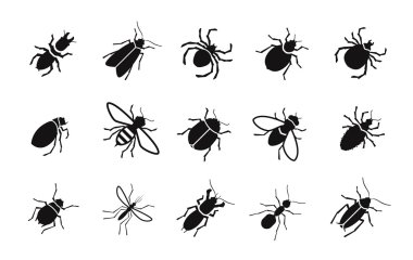 Zararlıları ve çeşitli böcekler vector Icons set