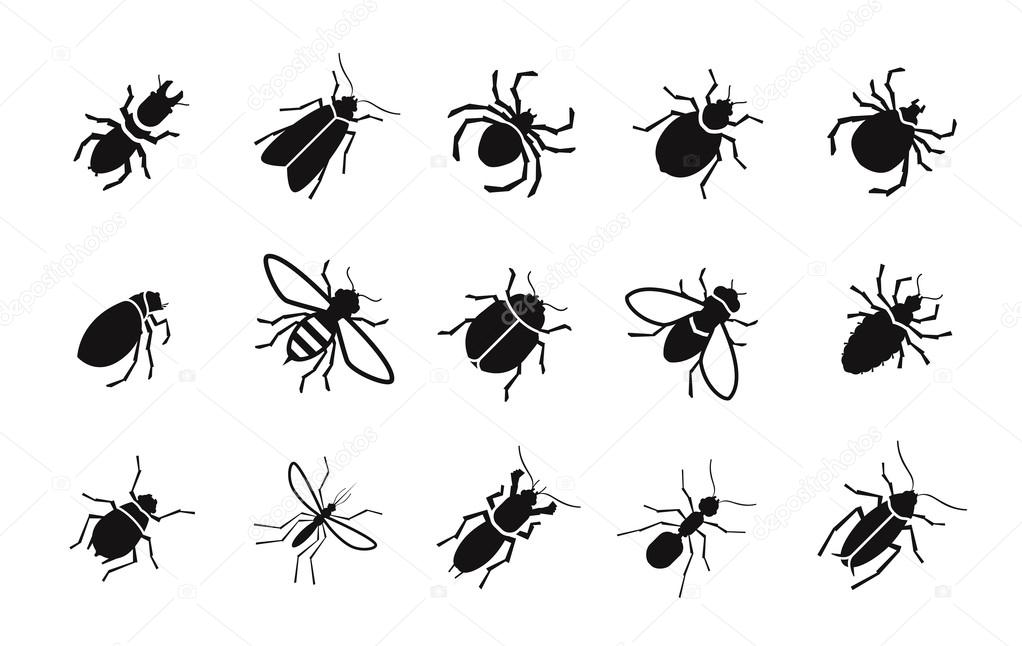 Pests and various insects set vector icons