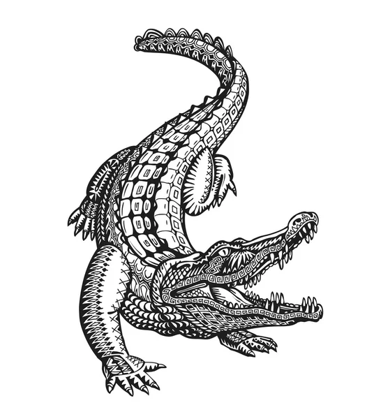 Caiman dibujo imágenes de stock de arte vectorial | Depositphotos