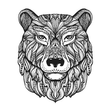 Ayı veya kır saçlı baş beyaz arka plan üzerinde izole. Dekoratif elemanları ile çizilmiş vektör çizim el