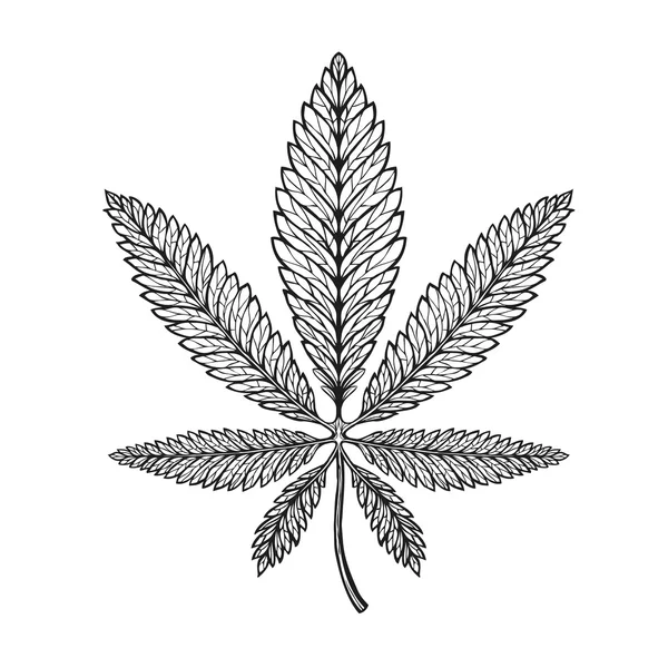 Estilo gráfico étnico marihuana. Cannabis, marihuana o cáñamo — Vector de stock