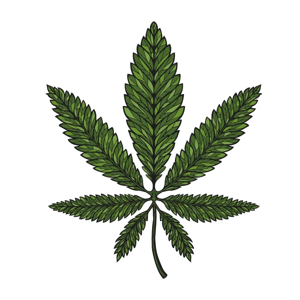 Hand gezeichnetes Blatt Hanf, Cannabis im dekorativen Stil. Illustration des Marihuana-Vektors — Stockvektor