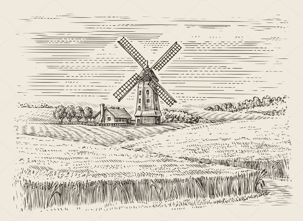 Wheat field and windmill sketch. Farm landscape vintage vector