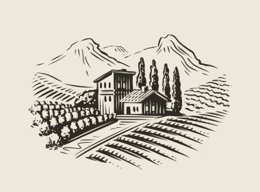 Villa ve üzüm bağları olan kırsal bir arazi. Çizim vektör illüstrasyonu