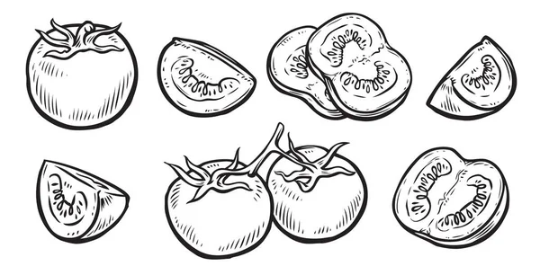 Tomate Tranche Légumes Croquis Vecteur — Image vectorielle