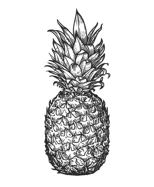 Hele Ananas Tropisch Fruit Voedselschets Vector — Stockvector