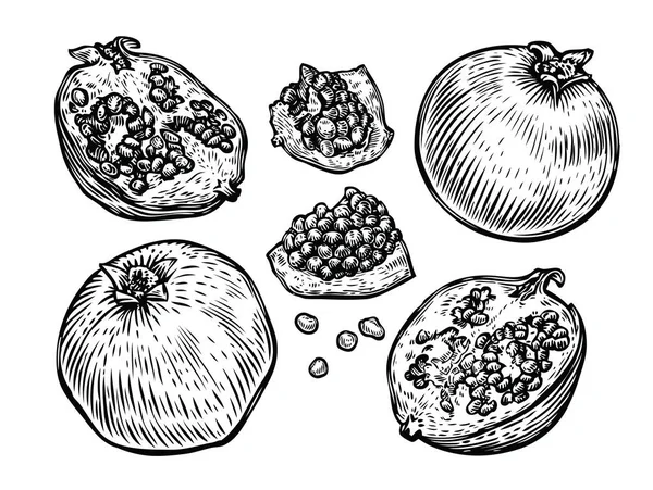 Set Fruta Granada Vector Boceto Alimentos — Vector de stock