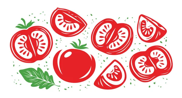 Coleção Tomates Vermelhos Frescos Metade Fatia Tomate Ilustração Vetorial —  Vetores de Stock