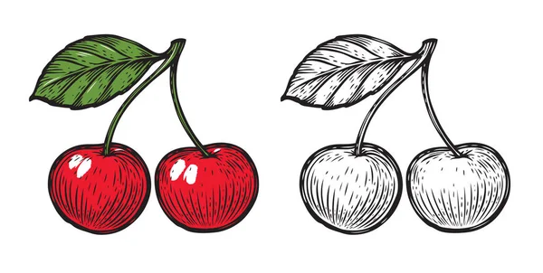 Boceto Cereza Fruto Aislado Sobre Fondo Blanco — Vector de stock