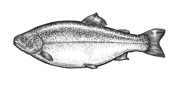 Fiskskiss Handritad Havsöring Gravyrstil — Stock vektor