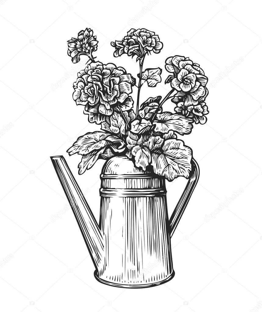 Flowers in a pot. Bouquet and watering can in sketch style. Gardening vintage vector