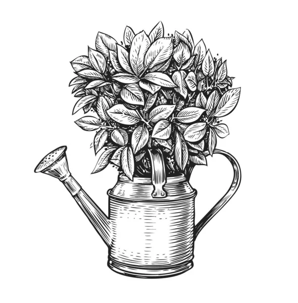 一盆花 花束和浇水可以是素描风格 园艺年份病媒 — 图库矢量图片