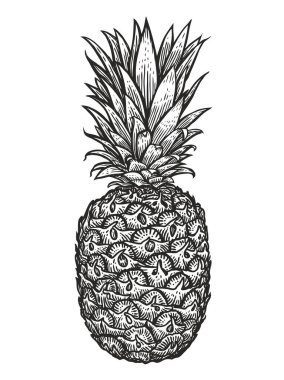 Yapraklı ananas. Tropikal yaz meyveleri oymalı resim