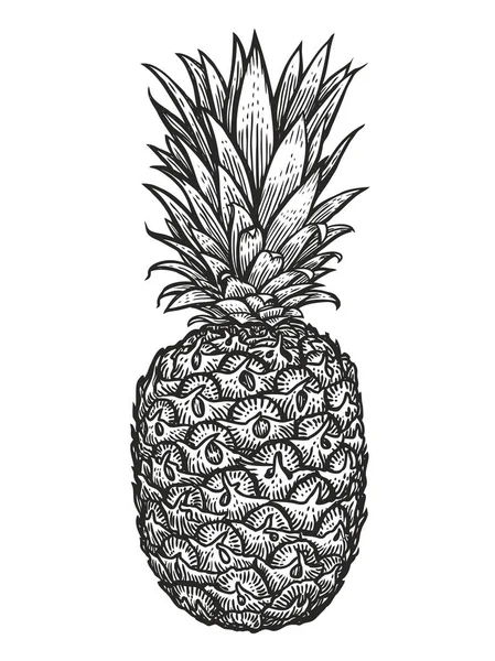 Piña Con Hojas Ilustración Estilo Grabado Frutas Tropicales Verano —  Fotos de Stock