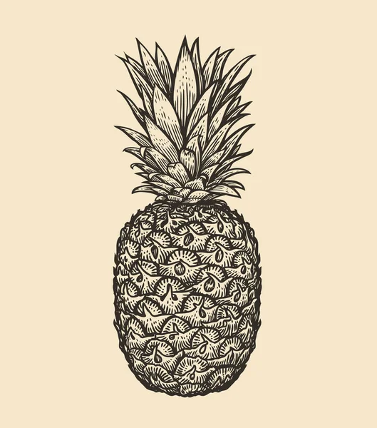 Ananas Con Foglie Illustrazione Tropicale Del Vettore Stile Inciso Frutta — Vettoriale Stock