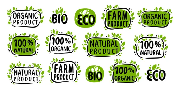 Natuurlijk Biologisch Symbool Stickers Etiketten Labels Eco Bio Met Bladeren — Stockvector