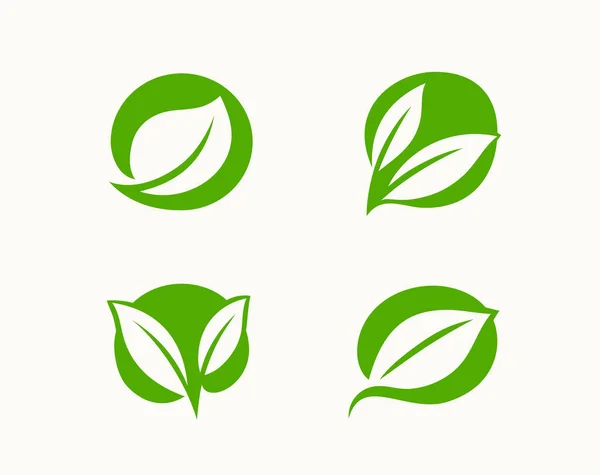 Çevre Simgesi Yeşil Yaprak Organik Sembol Vektörü — Stok Vektör