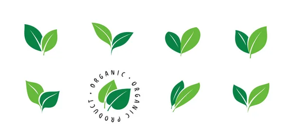 Set Icone Foglia Verde Ecologia Simbolo Organico Isolato — Vettoriale Stock