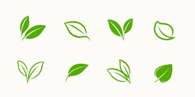 Yeşil yaprak simgeleri ayarlandı. Ekoloji, organik sembol vektör çizimi