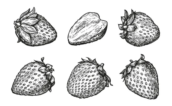 Strawberry Set Hand Drawn Engraving Style Vector Illustration — Archivo Imágenes Vectoriales