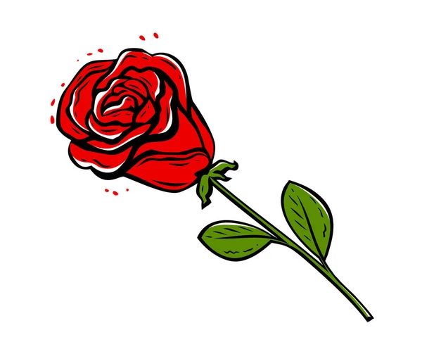 Rote Rose Mit Isolierten Blättern Auf Weißem Hintergrund Blumenillustration — Stockvektor