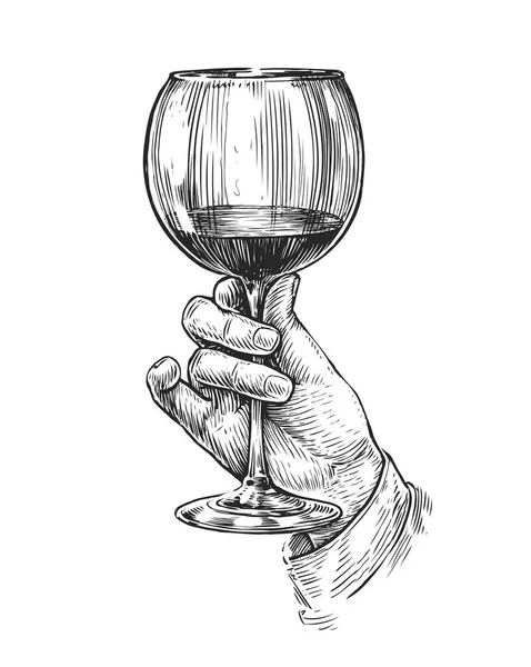 Verre Vin Main Esquisse Illustration Vintage — Image vectorielle