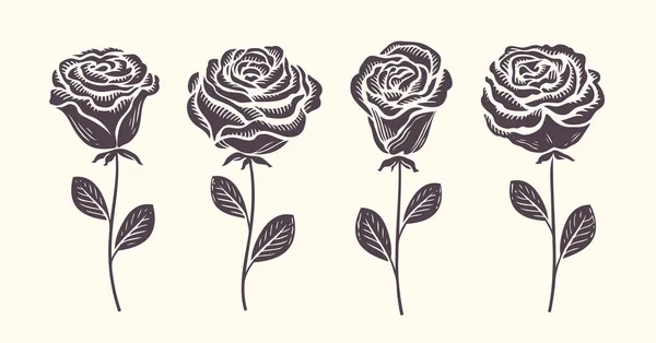 Rosa Com Ícone Folhas Conjunto Silhuetas Flores Decorativas Ilustração Vetorial — Vetor de Stock