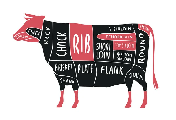 Cut Beef Butcher Diagram Scheme Cow Vintage Typographic Vector Illustration — Stock Vector