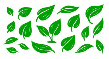 Yeşil soyut yaprak simgesi seti. Grafik tasarım elemanı. Eko logosu şablonu. Vektör illüstrasyonu