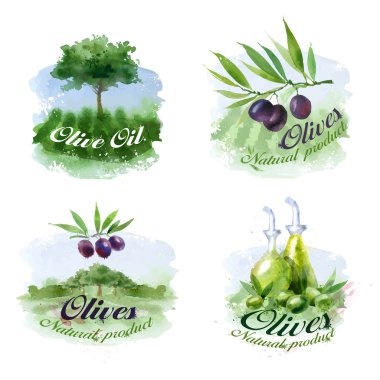 Olive. Vektör formatında