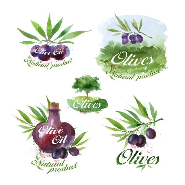 Huile d'olive. Format vectoriel — Image vectorielle