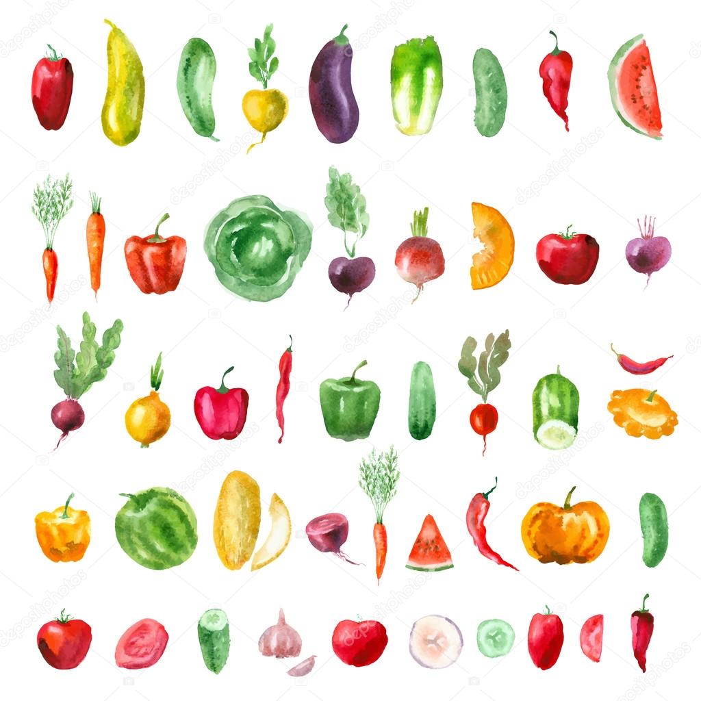 Vegetables. Vector format