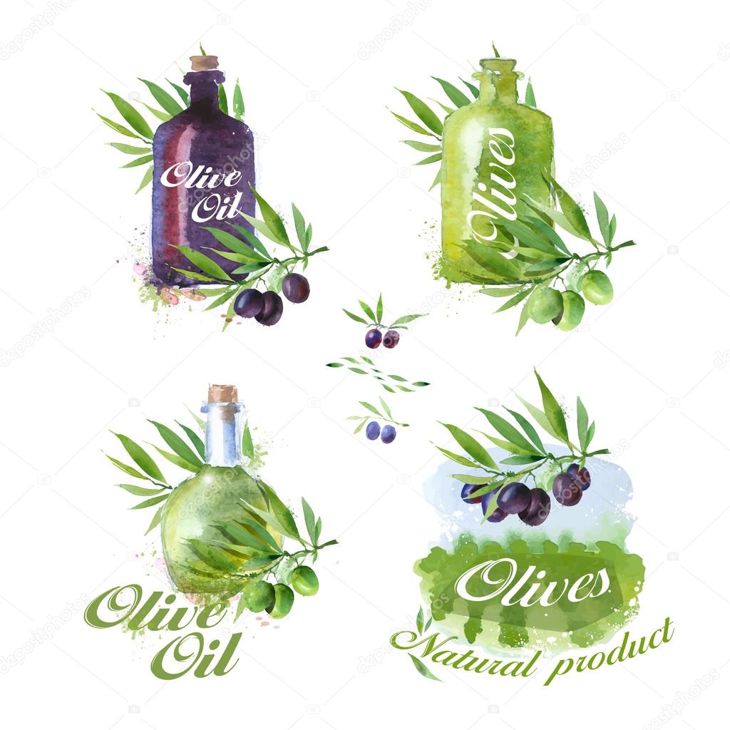 Olive icons. Vector format