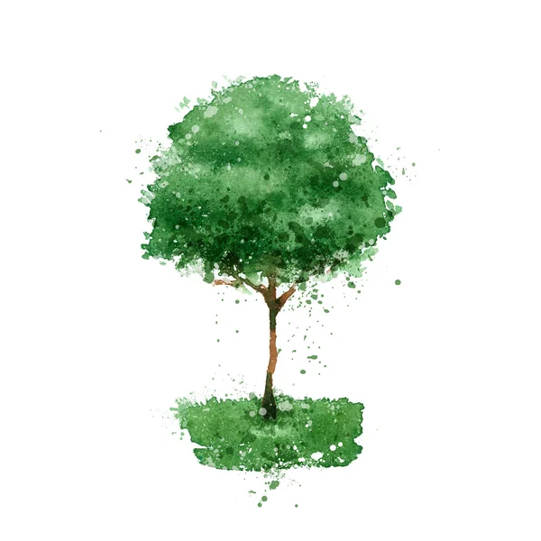 Árbol. Formato vectorial — Vector de stock