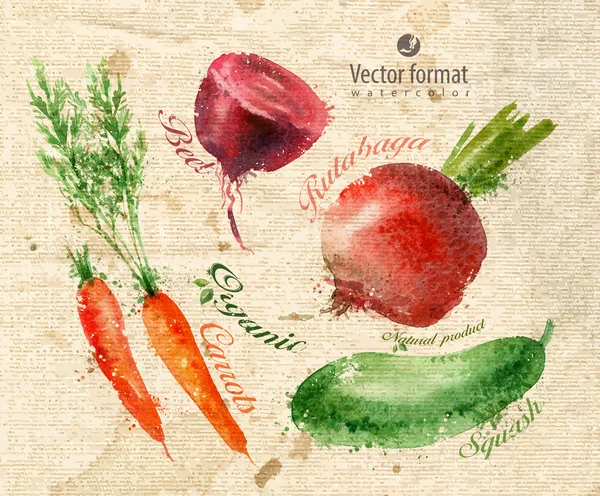 Verduras. Formato vectorial — Vector de stock