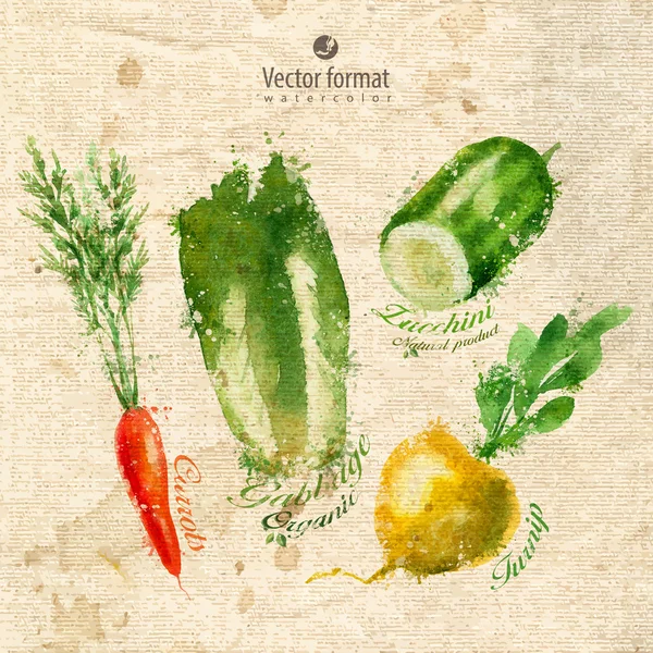 Grönsaker. vektorformat — Stock vektor