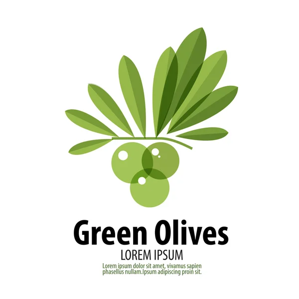 Modello di design del logo vettoriale Green Olive. icona del raccolto o del cibo . — Vettoriale Stock