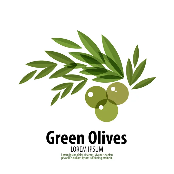 Grüne Oliven Vektor Logo Design-Vorlage. Ernte oder Lebensmittel-Ikone. — Stockvektor