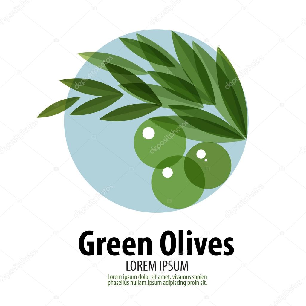 Olives vector logo design template. harvest or food icon.