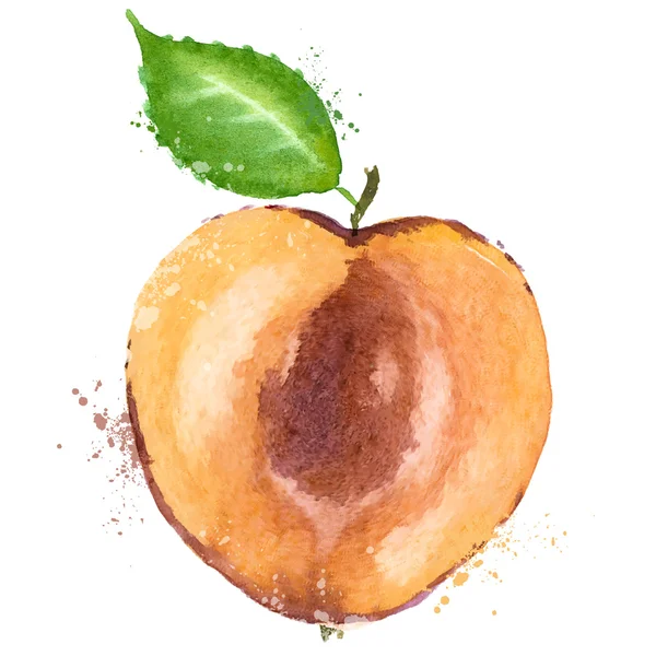 Aprikosenvektor-Logo-Design-Vorlage. Obst oder Lebensmittel-Symbol. — Stockvektor