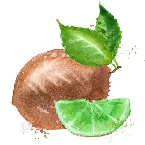 Modèle de conception de logo vectoriel Kiwi. icône de fruits ou de nourriture . — Image vectorielle