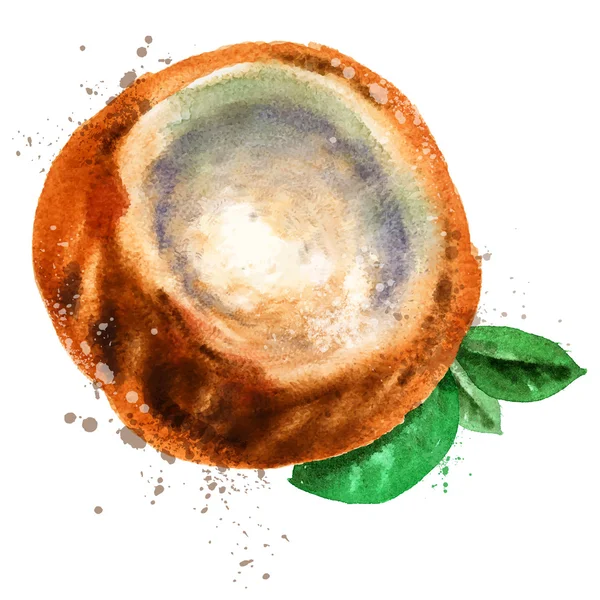 Modelo de design de logotipo de vetor de coco. Ícone de noz ou comida . — Vetor de Stock