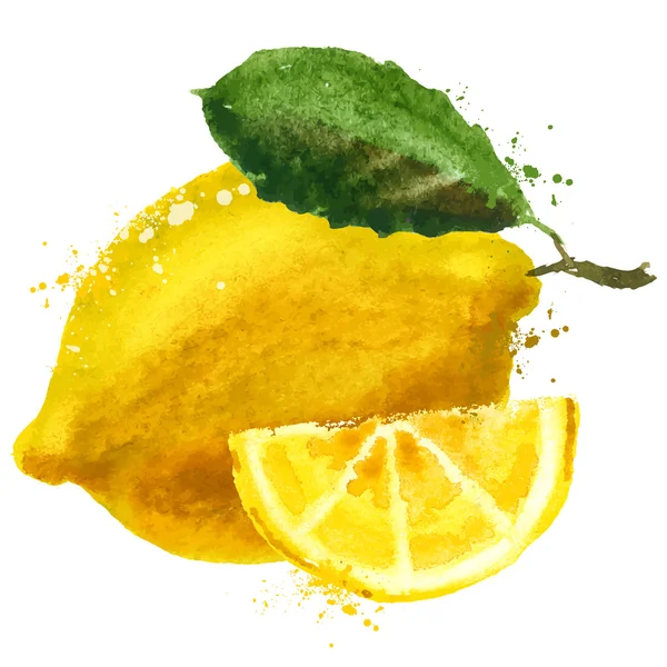Meyve vektör logo tasarım şablonu. yiyecek ya da limon simgesi. — Stok Vektör
