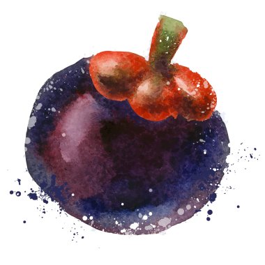 mangosteen vektör logo tasarım şablonu. meyve ya da gıda simgesi.