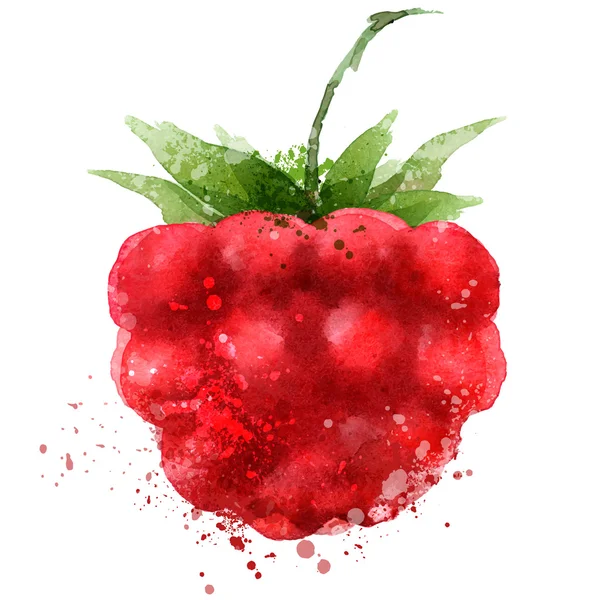 Berry vector logo design template. Raspberry or food icon. — Stock Vector