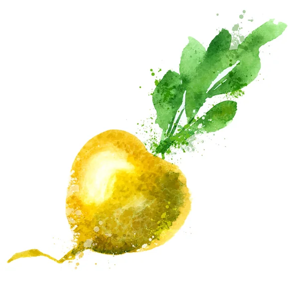 Шаблон векторного логотипа репы. иконка для овощей или продуктов питания . — стоковый вектор