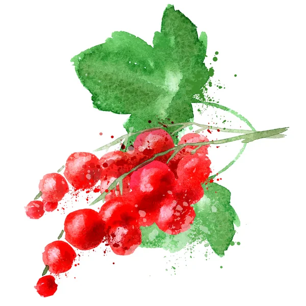 Plantilla de diseño de logotipo de vector de grosella roja. icono de fruta o comida . — Vector de stock