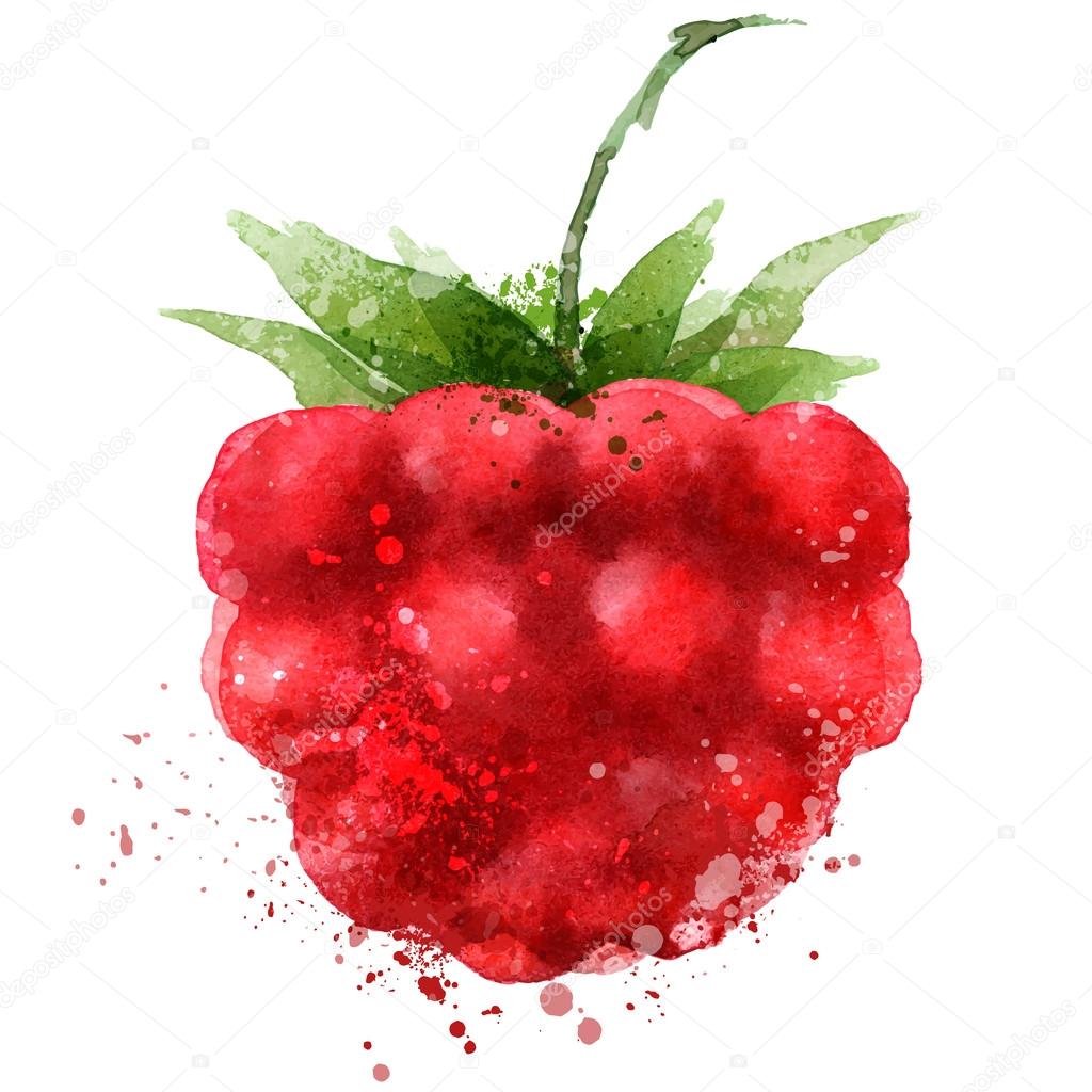 Berry vector logo design template. Raspberry or food icon.